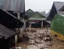 Banjir Bandang Terjang Desa Kota Tua, Tantom Tapsel