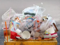 Pengunaan Plastik Tak Hanya Merusak Lingkungan, Tapi Juga Kesuburan Wanita