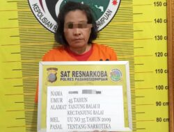 Dagang Narkoba di Sidimpuan, Ibu Rumah Tangga Asal Tanjung Balai Ditangkap