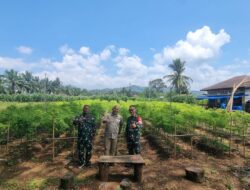 Dukung Asta Cita Prabowo, Batalyon 123/Rajawali Sediakan Lahan 6 Hektar, DPC Gerindra Sidimpuan Beri  Apresiasi