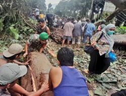 Mantap! TNI Berjibaku Bersihkan Pohon Tumbang