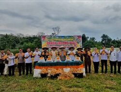 Berkah Ramadan,  Polres Padangsidimpuan Panen Jagung Perdana