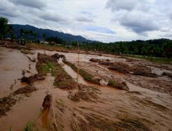 10 Jaringan Irigasi Rusak Akibat Banjir, 574 Hektar Lahan Pertanian Sidimpuan Terdampak