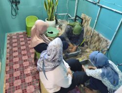Nurani Healty Home Padangsidimpuan, Solusi Penyakit Jantung, Struk Hingga Saraf Terjepit