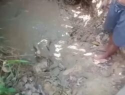 Viral! Anak Tega Merendam Ibu 80 Tahun di Kubangan Lumpur, Polisi Turun Tangan