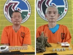 Ngecer Cimeng, Pria Setengah Abad Ubanan Ditangkap Bersama Rekannya di Sidimpuan