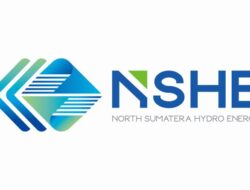 Usai Diberitakan Website Berisi Judi Online, PT NSHE Klaim Domain nshe-hydro.com Bukan Miliknya