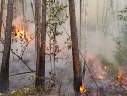 14 Titik Api Terpantau, 2 Diantaranya di Mandailing Natal