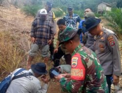 BKSDA Belum Bisa Pastikan Jenis Jejak Kaki Binatang Buas yang Ditemukan Warga Batang Bahal, Sidimpuan