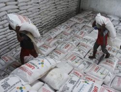 Kabar Baik Bagi Petani di Sidimpuan, Pemerintah Turunkan Harga Pupuk Subsidi, Ini Daftarnya