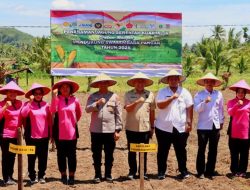 Menuju Swasembada Pangan, Gerindra Dukung Tanam Jagung Serentak Bersama Polres Padangsidimpuan