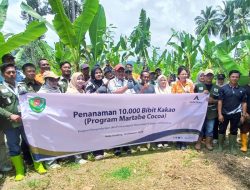 Bersama Petani, Tambang Emas Martabe Batang Toru Kembangkan Tanaman Kakau