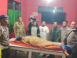 Korban Longsor di Angkola Selatan Ditemukan Meninggal, Terbawa Arus Hingga Sidimpuan