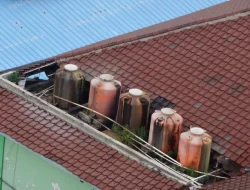 Bukan Karena Sumber Air, Ini Penyebab Utama Tandon Rumah Berbau