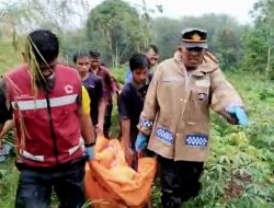Mayat Pria yang Ditemukan di Sihitang Ternyata Warga Gang Dame,  Hilang  Saat Mencari Ikan