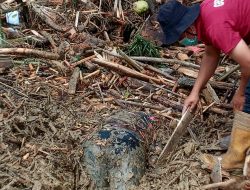 Tim Relawan Partai Gerindra Tapsel Temukan Jenazah Korban Banjir di Batang Toru