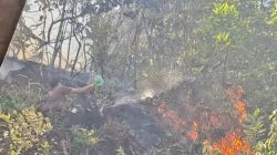 Dua Peristiwa Kebakaran Lahan Terjadi di Kecamatan Padangsidimpuan Selatan, ini Lokasinya