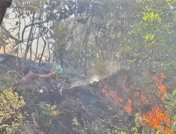 Dua Peristiwa Kebakaran Lahan Terjadi di Kecamatan Padangsidimpuan Selatan, ini Lokasinya