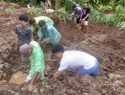 Dua Perempuan Tertimbun Longsor di Angkola Selatan, Satu Korban Belum Ditemukan