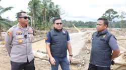 Siapa Pemilik Excavator dan Dozer yang Diamankan