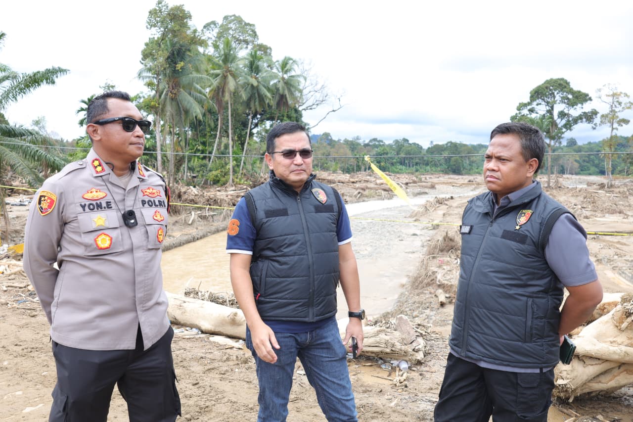 Siapa Pemilik Excavator dan Dozer yang Diamankan