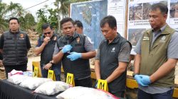 Alih Fungsi 28 Ribu Hektar Lahan di Batang Toru