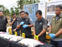 Alih Fungsi 28 Ribu Hektar Lahan di Batang Toru, Kemenhut Ungkap Dampak Ekologis di Hulu DAS