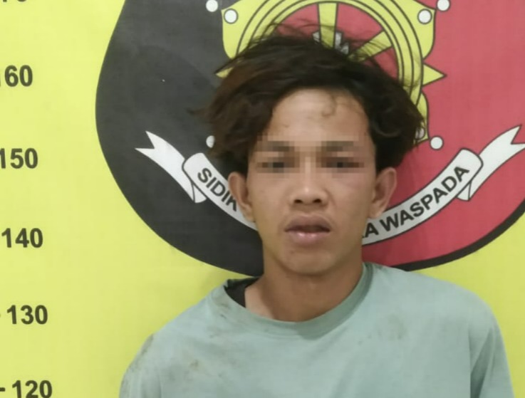 Kapolsek Padang Bolak tangkap pencuri ASN