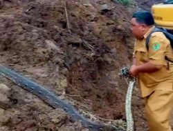 Gawat! Dua Bulan Pasca Banjir Bandang Landa Tapsel, Ular Kobra dan Piton Bermunculan