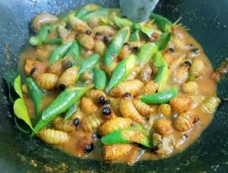 Eksplor Kidu-Kidu, Kuliner Khas Karo dari Ulat Sagu yang Kaya Gizi