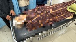 Tragis! Nenek 70 Tahun di Desa Palsabolas Tapsel Diduga Dibunuh