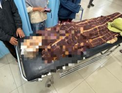 Tragis! Nenek 70 Tahun di Desa Palsabolas Tapsel Diduga Dibunuh