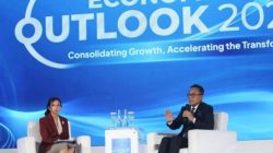 BUMN Dipreteli Danantara 800 Perusahaan