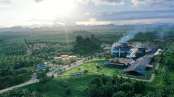 Bagaimana Indonesia Bisa Mengambil Kendali dari Industri Sawit