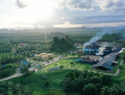 Bagaimana Indonesia Bisa Mengambil Kendali dari Industri Sawit