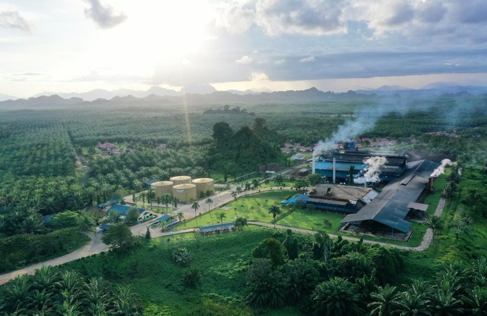 mengambil kendali industri sawit