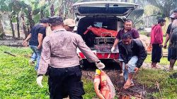 Gempar! Pria Asal Bonan Dolok Mandailing Natal Ditemukan Tewas Tergantung