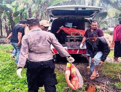 Gempar! Pria Asal Bonan Dolok Mandailing Natal Ditemukan Tewas Tergantung