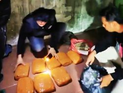 Bongkar Gudang Narkoba di Kampung Darek Sidimpuan, Polisi Amankan 8 Bal Ganja
