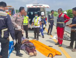 Tabrak Truk Box di Tol Indrapura–Kisaran, Empat Penumpang Innova Tewas