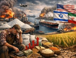 Dampak Perang pada Ekonomi Pangan
