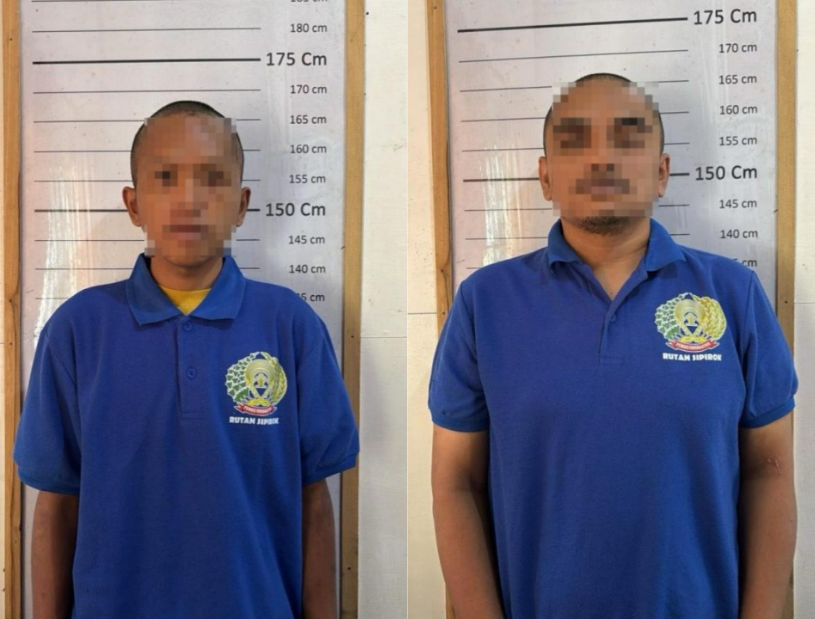 Curanmor di Sipirok Tapanuli Selatan