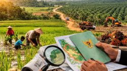 Mengurai Hak Guna Usaha, Benarkah Tanah Negara Menguntungkan Rakyat?