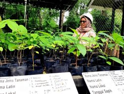 Hingga Akhir 2025, PTAR sudah Rehabilitasi Bekas Lahan Tambang Seluas 50 Hektar