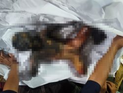 Rumah Sekaligus Warung di Paluta Terbakar, Anak 4 Tahun Meregang Nyawa