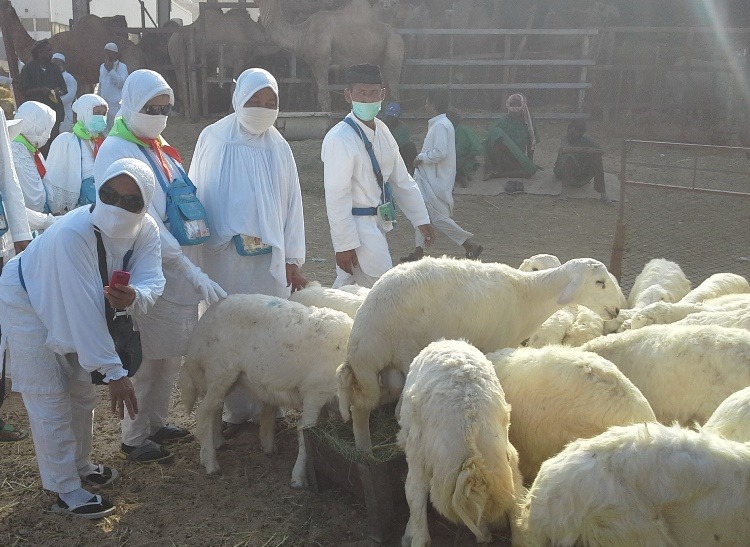 Denda Haji Jemaah Muhammadiyah Disembelih di Tanah Air