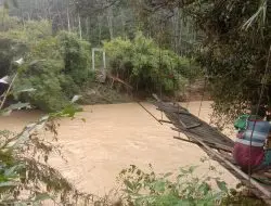 Sejumlah Jembatan Putus Diterjang Banjir, Akses Warga dan Sekolah Lumpuh di Paluta