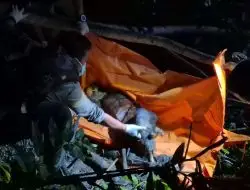 Warga Tapsel Digegerkan Penemuan Mayat Tanpa Identitas Membusuk di Kebun Karet