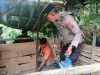 Hanya Temukan Bong, Gerakan Sikat Narkoba di Ujung Padang Sidimpuan Diduga Bocor