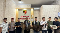 Kasat Reskrim Iptu Bontor Sitorus Bongkar Perdagangan Satwa Dilindungi di Tapsel